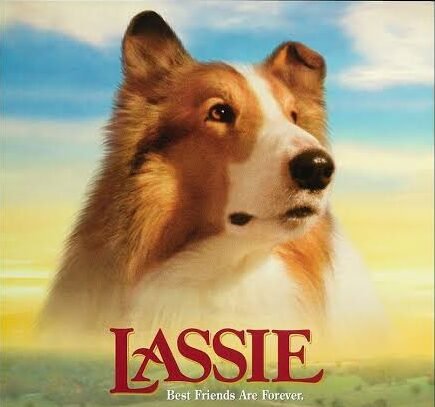 lassie