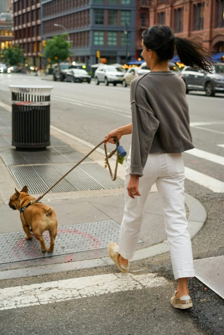 A woman walking her French bulldog on a city street, showcasing urban life and pet companionship.