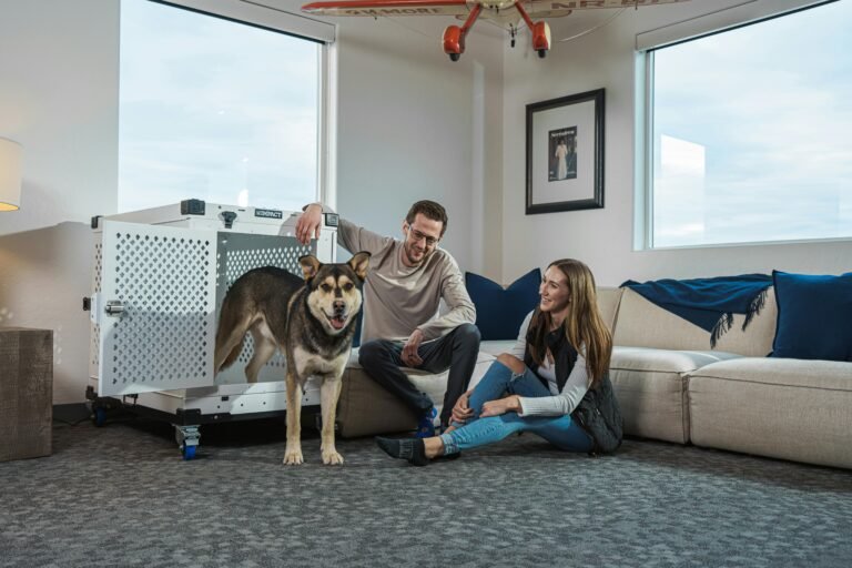 Cozy living room with couple and dog, showcasing comfort and pet-friendly lifestyle.
