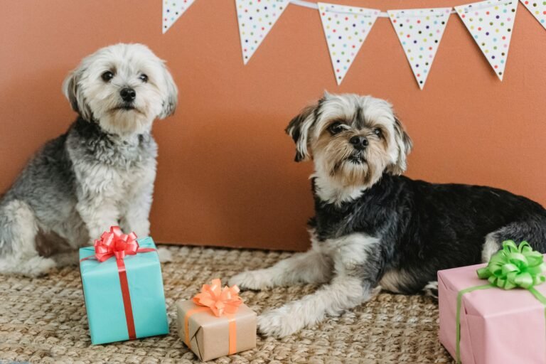 Two cute dogs with gifts and decorations celebrate indoors, perfect for festive pet photography.