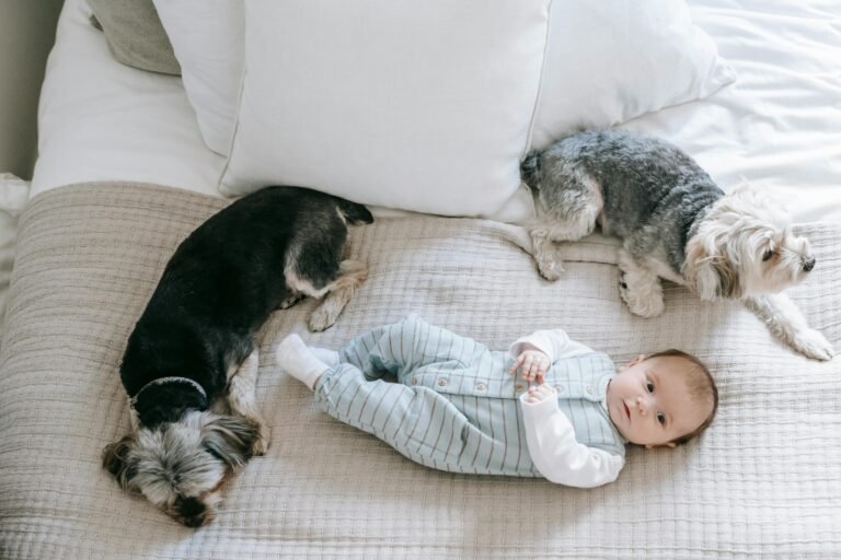 Adorable baby and two dogs lying on a cozy bed, creating a peaceful and charming indoor scene.