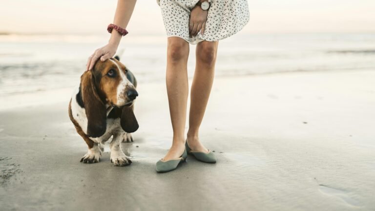 Woman petting basset hound dog on a sandy beach, showing companionship.