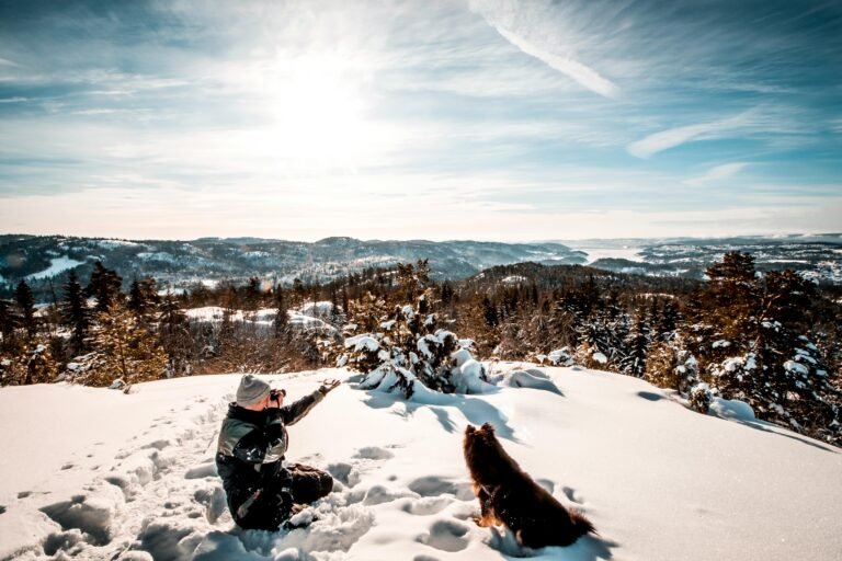 A hiker enjoys a sunny winter day in the mountains, accompanied by their dog.