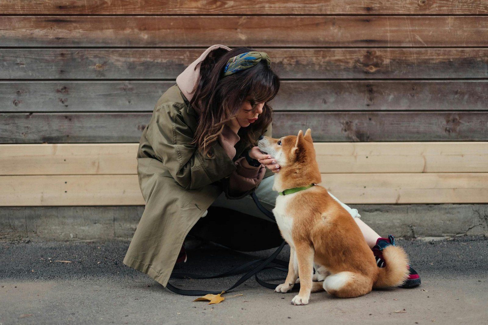 Warm moment of a woman playing with her Shiba Inu dog outdoors.