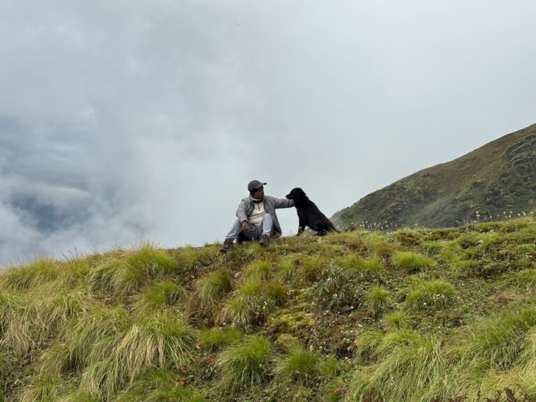 Alone