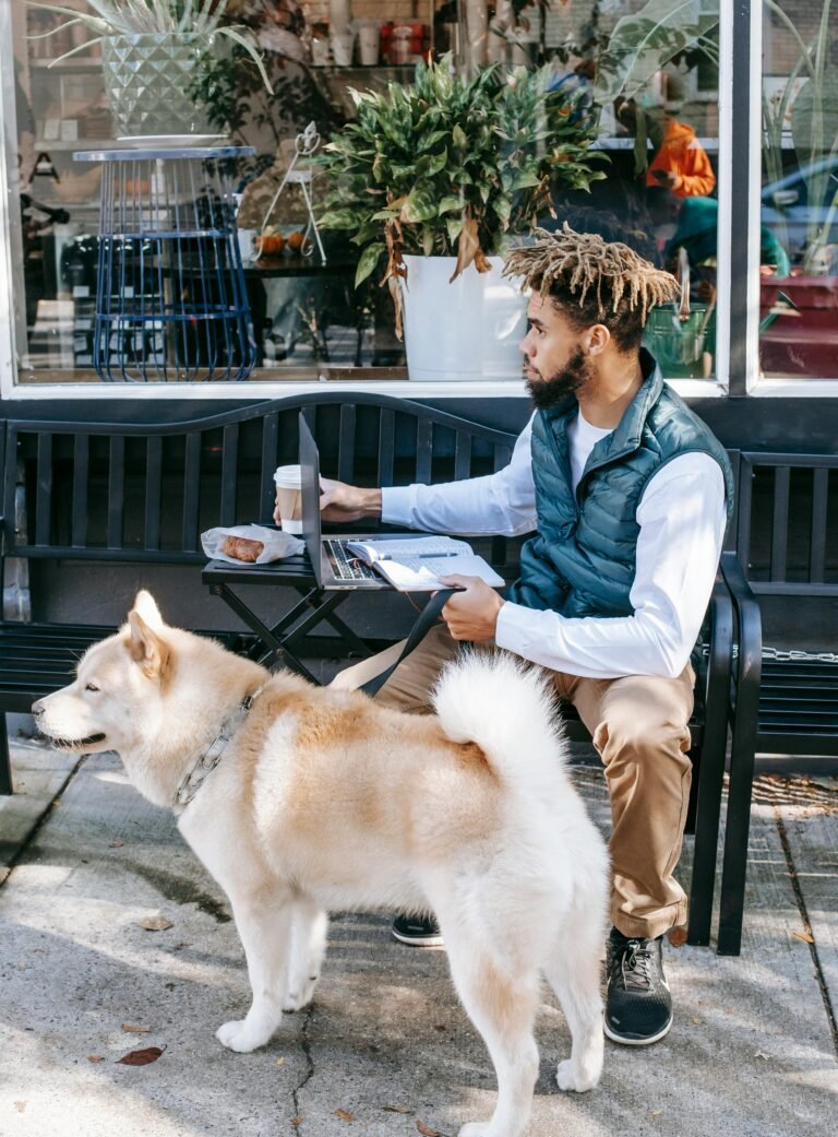 Side view of African American male surfing netbook while sitting on bench with coffee and snack on street near Akita Inu dog