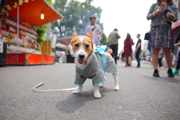Cute dog in a stylish kimono on a bustling street in Tokyo, capturing the cultural vibe.