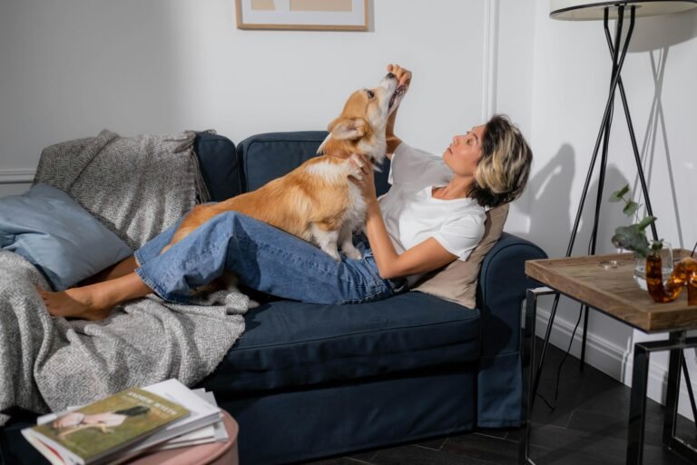 An adult woman relaxing on a sofa with her corgi dog at home, enjoying a quiet moment together.