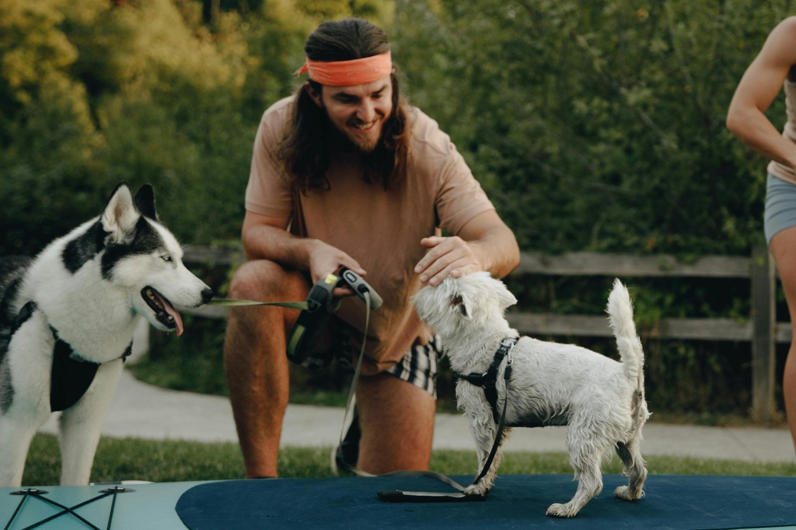 Dog Jealousy: Do They Really Get Envious?