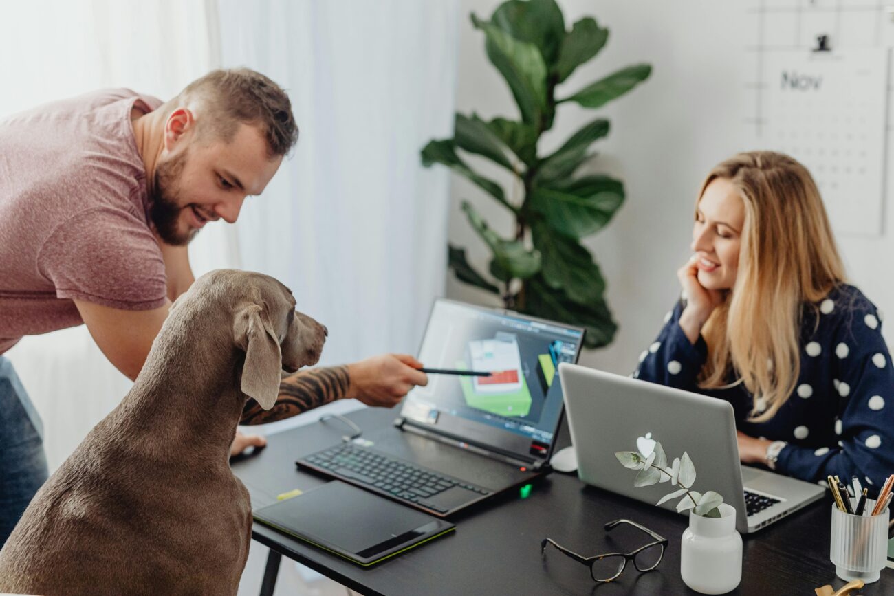 A man and woman collaborate in a modern office, engaging with a dog on a work-related project.