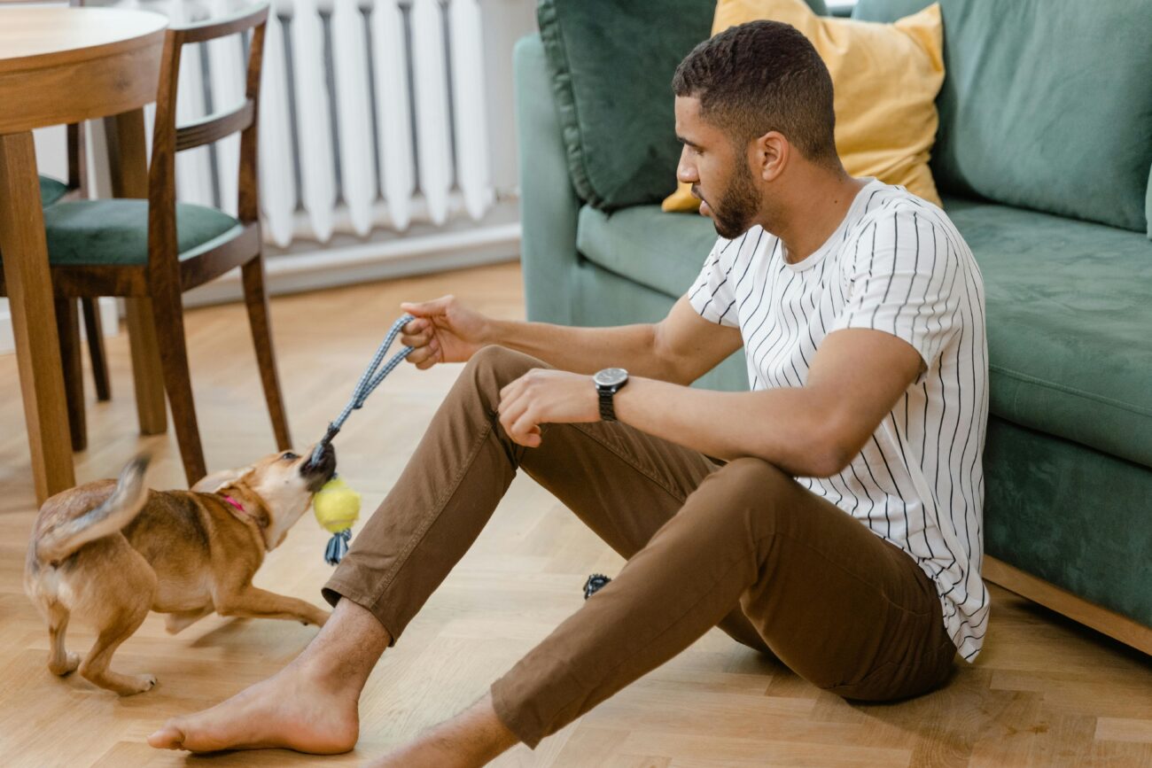 A man playing tug-of-war with his dog in a cozy indoor setting on a wooden floor.