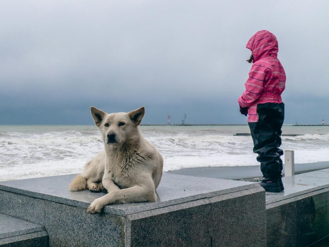 A child in a pink coat with a dog by the stormy coast. Perfect for travel and companion themes.