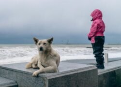 A child in a pink coat with a dog by the stormy coast. Perfect for travel and companion themes.
