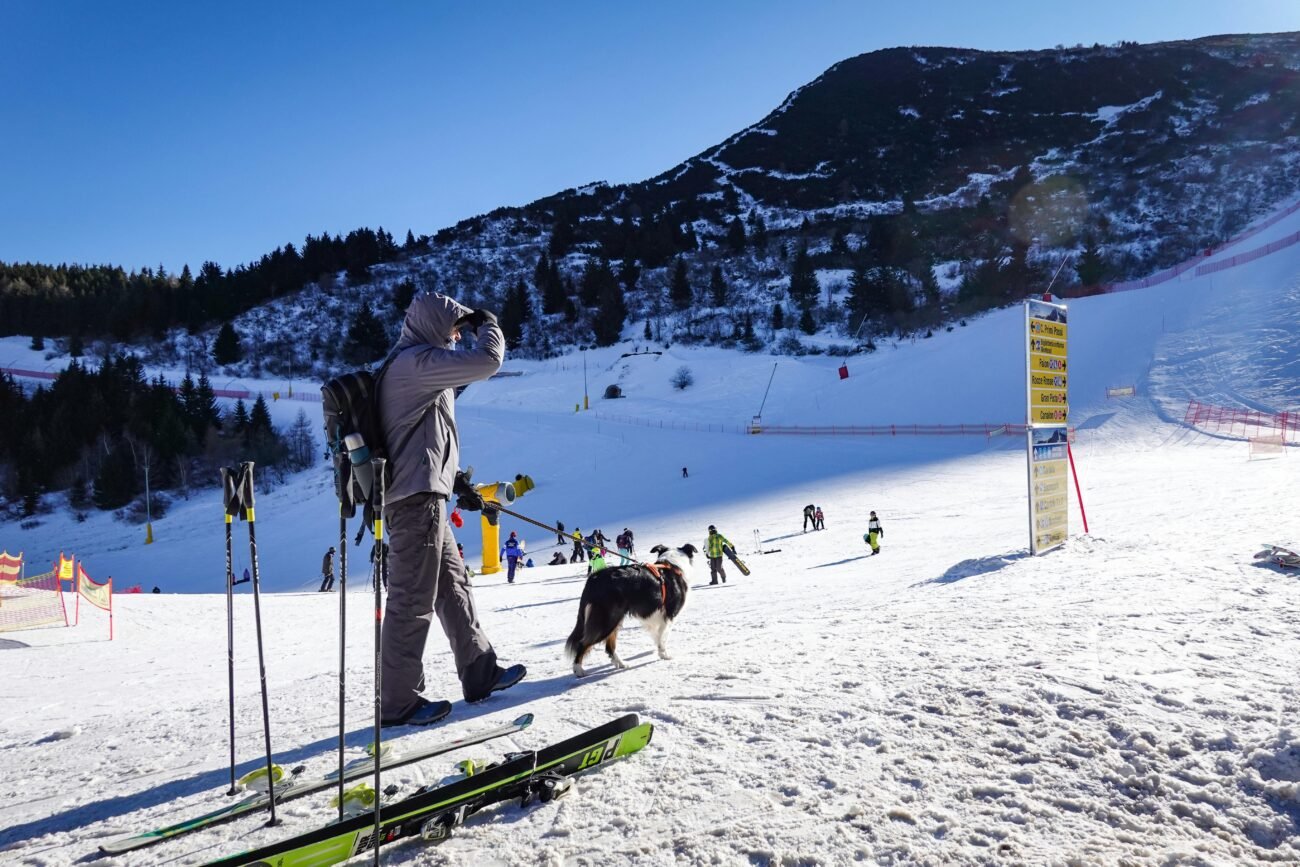Skiers and a dog enjoy the slopes of a snow-covered ski resort under a clear blue sky.