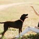 Young woman with curly hair playing with her dog outdoors in a sunny park.