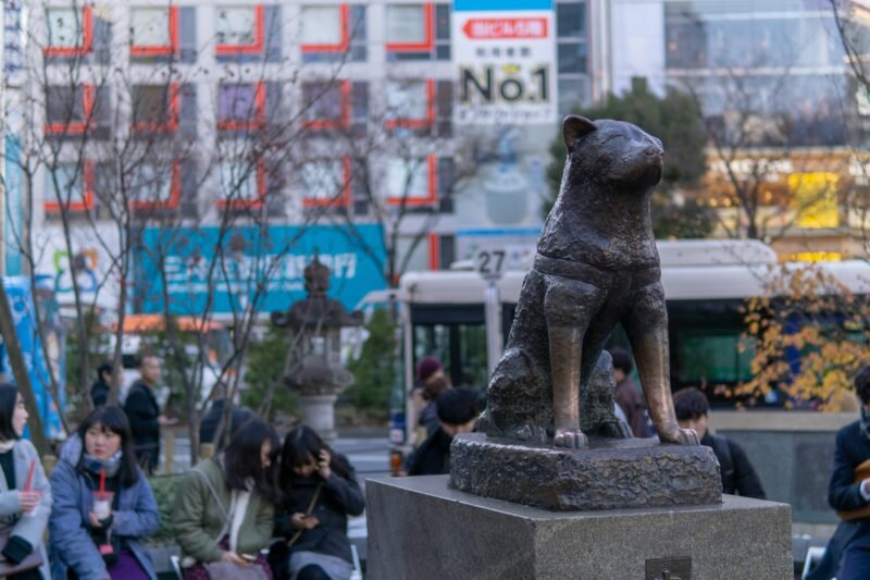 Heroic Dogs: 10 Inspirational Canine Stories That Changed History