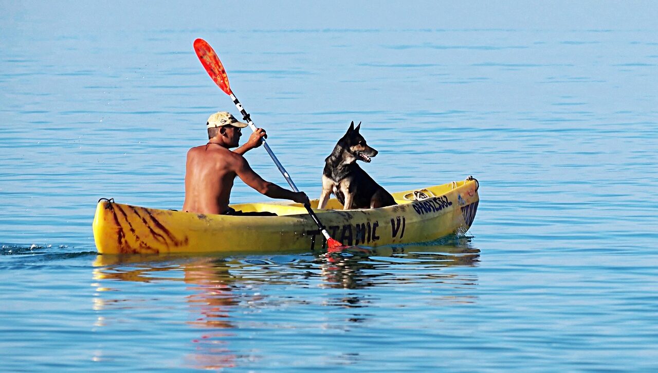 boat, oars, man, dog, water, paddle, calm, summer, paddling, animal, canoe, leisure, kayak, outdoor, rowing, pet, nature, canoeing, blue calm, blue boat
