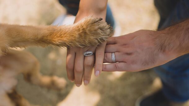 A close-up of hands and a dog's paw displaying unity and love outdoors.