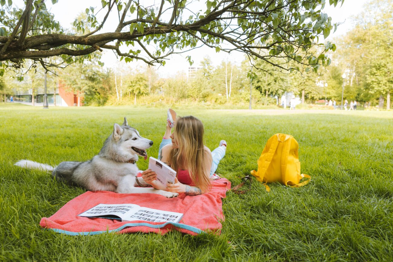 A woman reads with her Siberian husky on a picnic blanket in a sunny park.