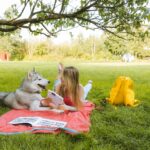 A woman reads with her Siberian husky on a picnic blanket in a sunny park.