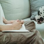 Person writing on a sofa with a curious Dalmatian nearby, indoors in a cozy setting.