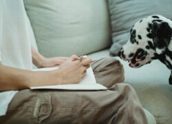 Person writing on a sofa with a curious Dalmatian nearby, indoors in a cozy setting.