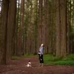 A woman stands in a serene forest with her dog, surrounded by towering trees.