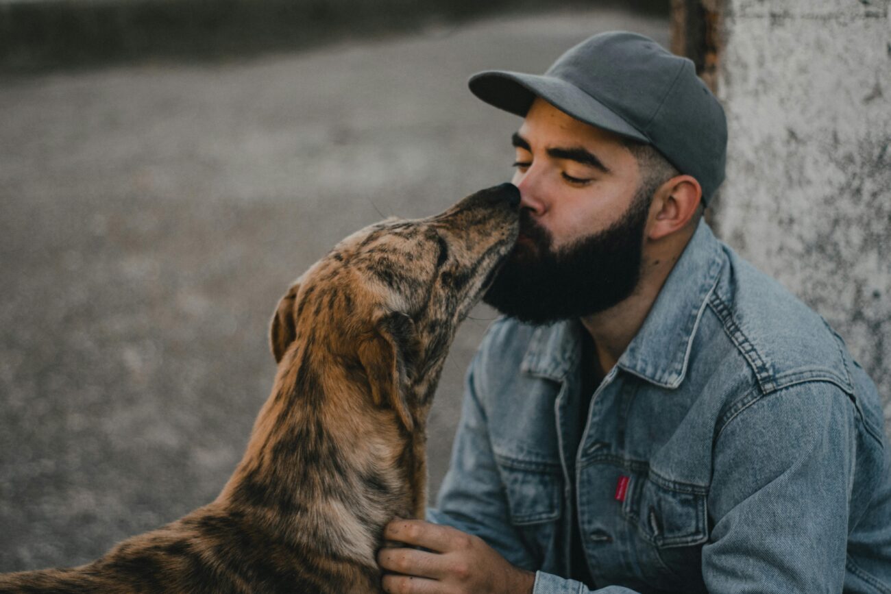 A man in a denim jacket affectionately kisses his brindle dog outdoors on a bright day.
