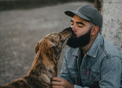 A man in a denim jacket affectionately kisses his brindle dog outdoors on a bright day.