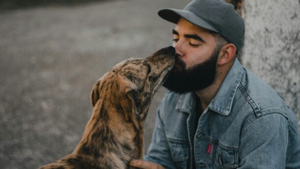 A man in a denim jacket affectionately kisses his brindle dog outdoors on a bright day.